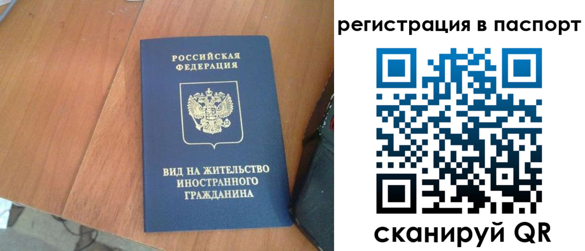 найти адрес прописки в Борзе
